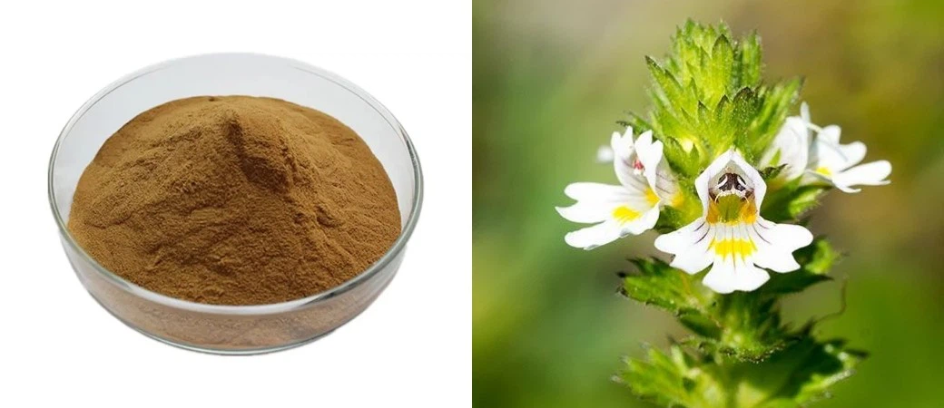 Eyebright powder Eyebright powder