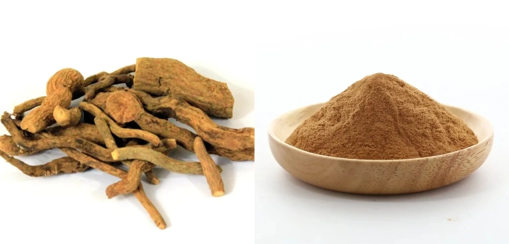 Salacia Reticulata Powder Salacia Reticulata Powder